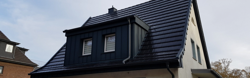 Steildach_24